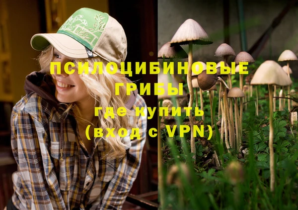 стафф Волоколамск