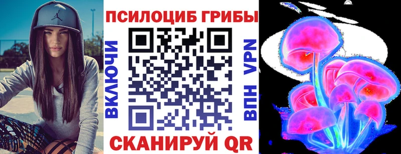 Галлюциногенные грибы Psilocybine cubensis  Купить где  Мурино 